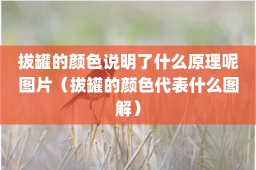 拔罐的颜色说明了什么原理呢图片（拔罐的颜色代表什么图解）
