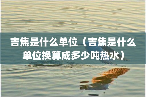 吉焦是什么单位（吉焦是什么单位换算成多少吨热水）