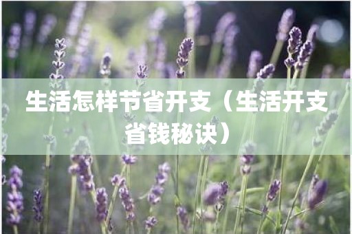 生活怎样节省开支（生活开支省钱秘诀）