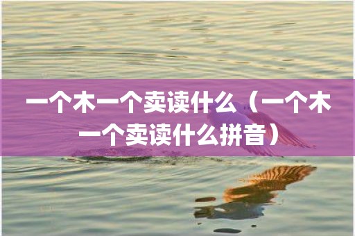 一个木一个卖读什么（一个木一个卖读什么拼音）