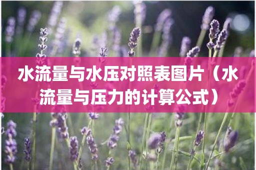 水流量与水压对照表图片（水流量与压力的计算公式）