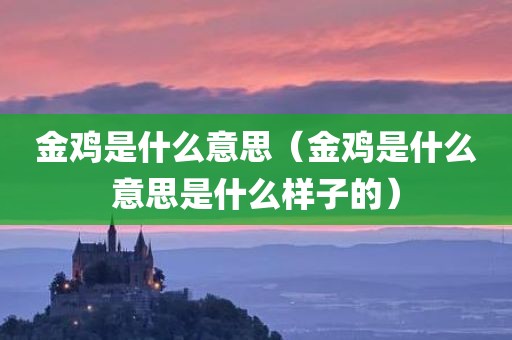 金鸡是什么意思(金鸡是什么意思是什么样子的)