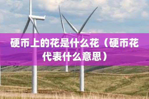 硬币上的花是什么花（硬币花代表什么意思）