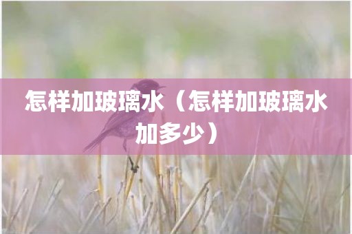 怎样加玻璃水（怎样加玻璃水加多少）
