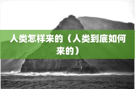 人类怎样来的（人类到底如何来的）