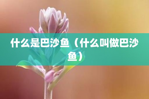 什么是巴沙鱼(什么叫做巴沙鱼)