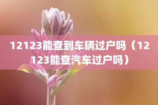 12123能查到车辆过户吗（12123能查汽车过户吗）