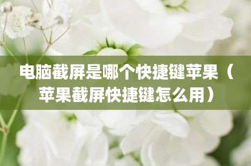 电脑截屏是哪个快捷键苹果(苹果截屏快捷键怎么用)