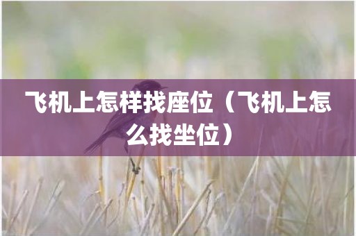 飞机上怎样找座位（飞机上怎么找坐位）