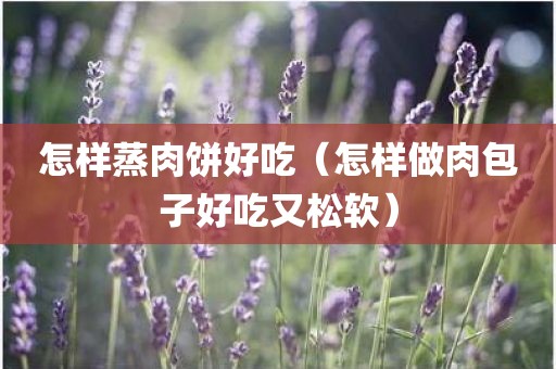 怎样蒸肉饼好吃（怎样做肉包子好吃又松软）