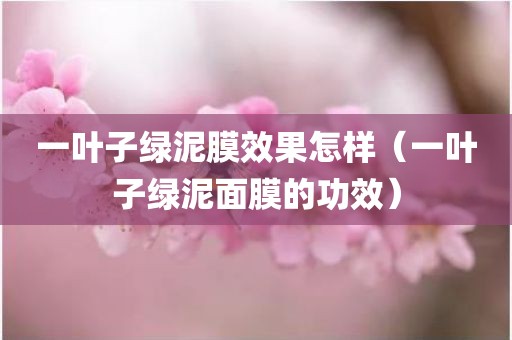 一叶子绿泥膜效果怎样（一叶子绿泥面膜的功效）