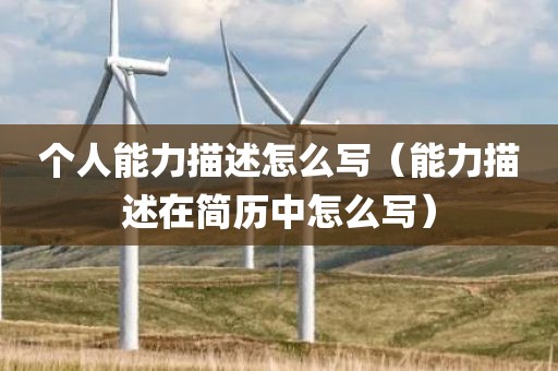 个人能力描述怎么写（能力描述在简历中怎么写）