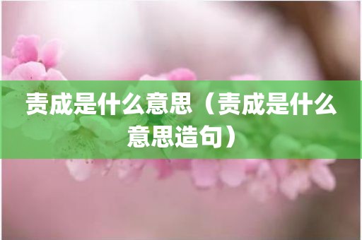 责成是什么意思（责成是什么意思造句）