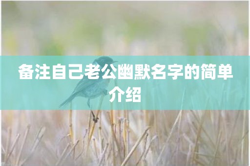 备注自己老公幽默名字的简单介绍