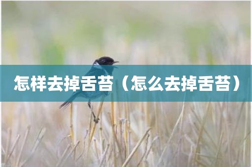 怎样去掉舌苔（怎么去掉舌苔）