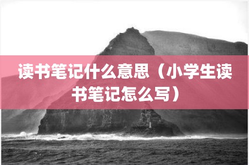 读书笔记什么意思（小学生读书笔记怎么写）