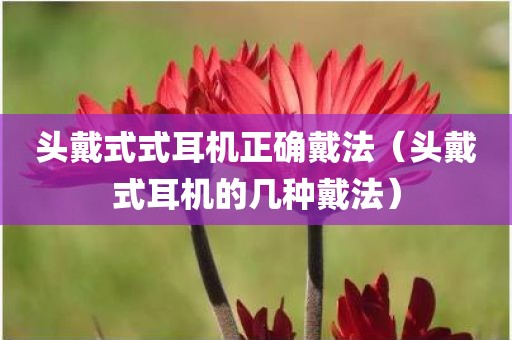 头戴式式耳机正确戴法（头戴式耳机的几种戴法）