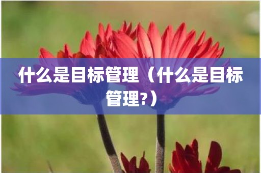 什么是目标管理（什么是目标管理?）