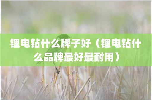锂电钻什么牌子好（锂电钻什么品牌最好最耐用）