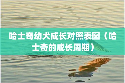 哈士奇幼犬成长对照表图（哈士奇的成长周期）