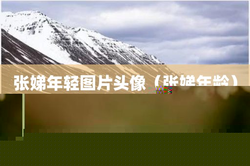 张娣年轻图片头像（张娣年龄）