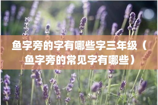 鱼字旁的字有哪些字三年级(鱼字旁的常见字有哪些)