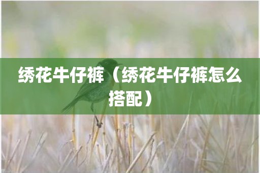 绣花牛仔裤（绣花牛仔裤怎么搭配）