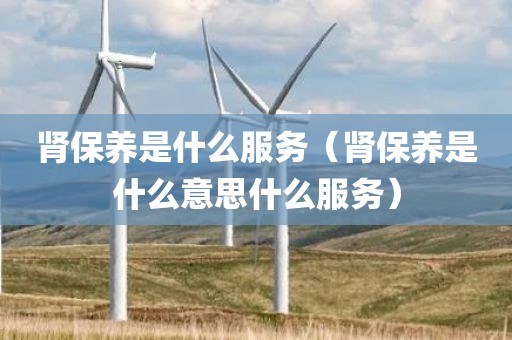 肾保养是什么服务（肾保养是什么意思什么服务）
