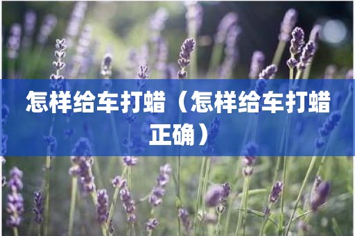 怎样给车打蜡（怎样给车打蜡正确）