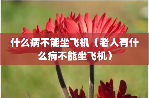 什么病不能坐飞机（老人有什么病不能坐飞机）