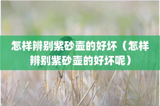 怎样辨别紫砂壶的好坏（怎样辨别紫砂壶的好坏呢）