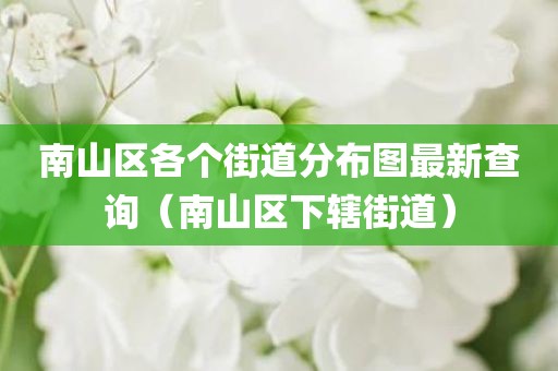 南山区各个街道分布图最新查询（南山区下辖街道）