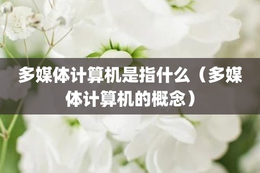 多媒体计算机是指什么（多媒体计算机的概念）
