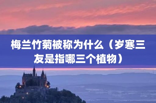 梅兰竹菊被称为什么（岁寒三友是指哪三个植物）