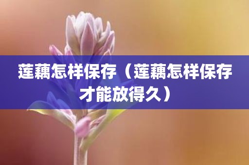 莲藕怎样保存（莲藕怎样保存才能放得久）