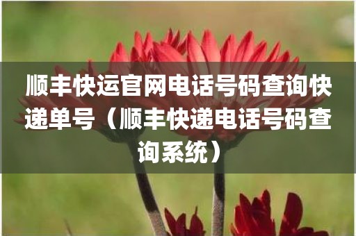 顺丰快运官网电话号码查询快递单号（顺丰快递电话号码查询系统）