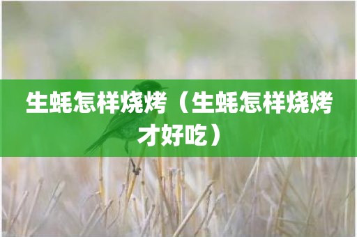 生蚝怎样烧烤（生蚝怎样烧烤才好吃）