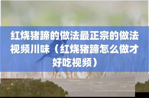 红烧猪蹄的做法最正宗的做法视频川味（红烧猪蹄怎么做才好吃视频）
