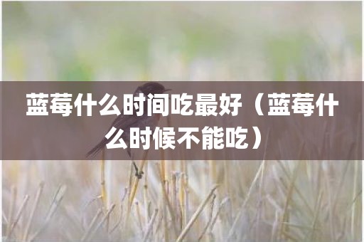 蓝莓什么时间吃最好（蓝莓什么时候不能吃）
