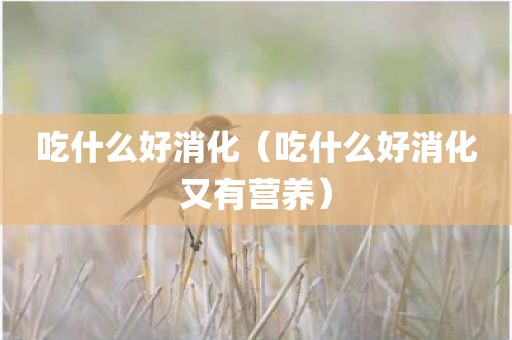 吃什么好消化（吃什么好消化又有营养）