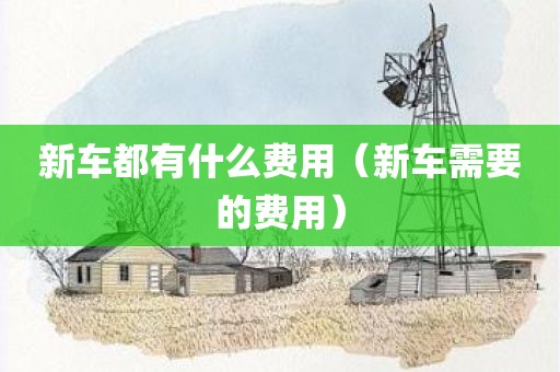 新车都有什么费用（新车需要的费用）