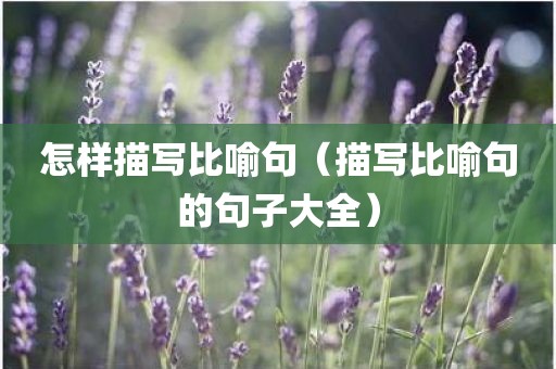 怎样描写比喻句（描写比喻句的句子大全）