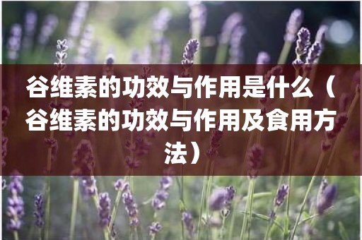 谷维素的功效与作用是什么（谷维素的功效与作用及食用方法）