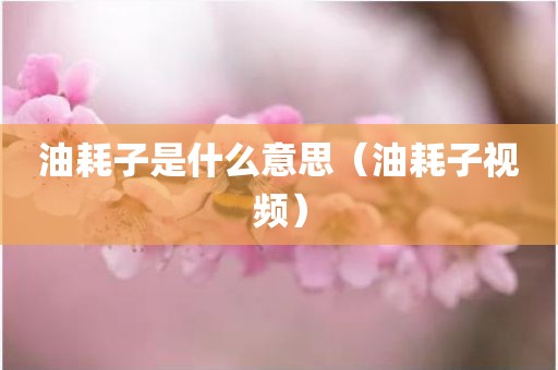 油耗子是什么意思（油耗子视频）