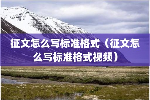 征文怎么写标准格式（征文怎么写标准格式视频）