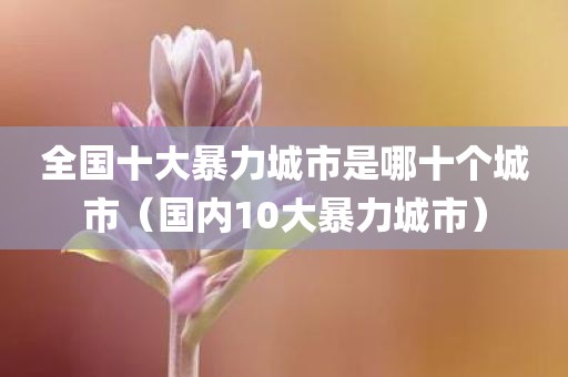 全国十大暴力城市是哪十个城市（国内10大暴力城市）