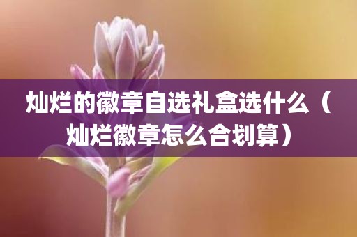 灿烂的徽章自选礼盒选什么(灿烂徽章怎么合划算)