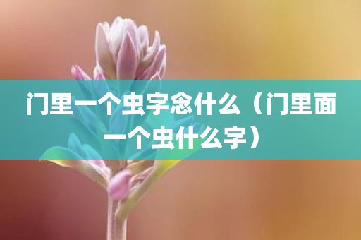 门里一个虫字念什么（门里面一个虫什么字）