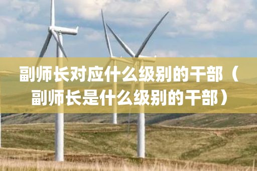副师长对应什么级别的干部（副师长是什么级别的干部）