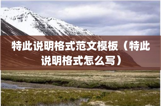 特此说明格式范文模板（特此说明格式怎么写）